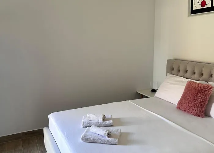 Ari 博尔什